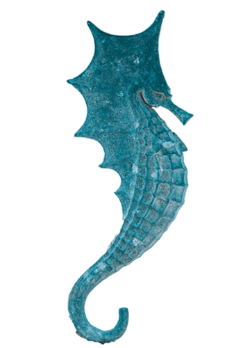 海马